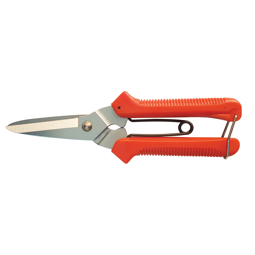 product_image1699777609